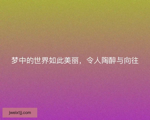 梦中的世界如此美丽，令人陶醉与向往